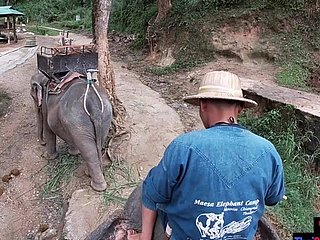 Elefant, der upon Thailand mit Teenager reitet